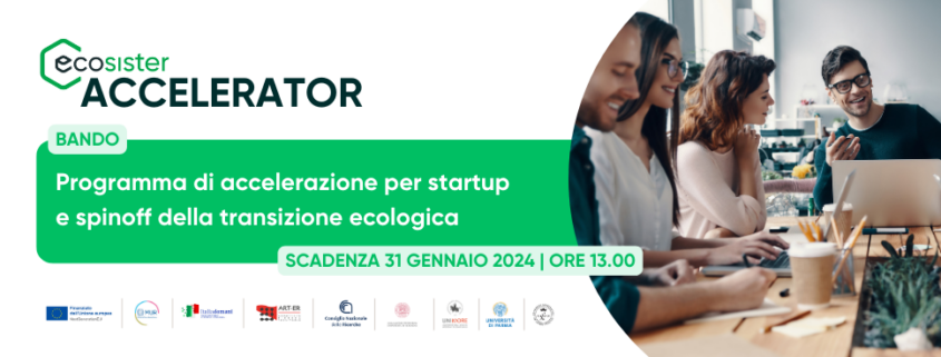 Webinar Ecosister Accelerator