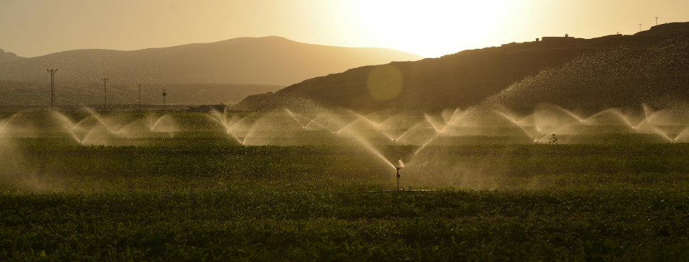 Rischi microbiologici emergenti per la sicurezza alimentare che originano dalle pressioni antropiche in ambiente agricolo