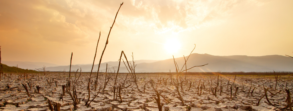 Geopolitica e Relazioni internazionali - Cambiamento Climatico