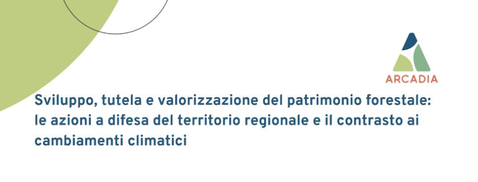 Sviluppo, tutela e valorizzazione del patrimonio forestale: le azioni a difesa del territorio regionale e il contrasto ai cambiamenti climatici