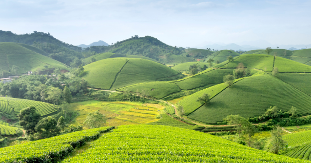 Road to Appennino Hack: al via il nuovo ciclo di seminari