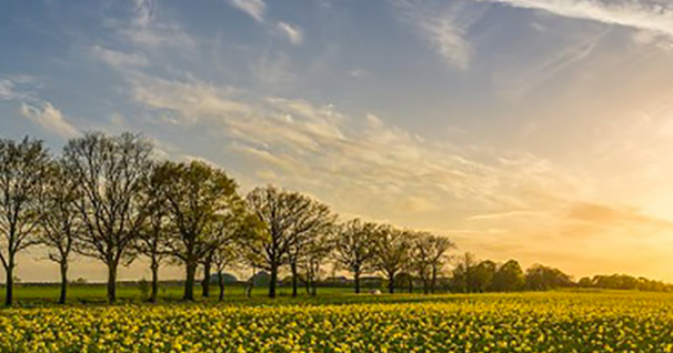 Approvato il Piano Aria Integrato Regionale 2030 con il contributo di ARTER