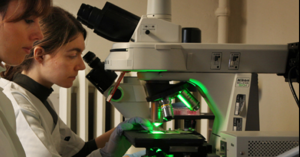 Help Desk Comunità Energetiche Rinnovabili della Regione Emilia-Romagna: al via i colloqui online con le imprese interessate