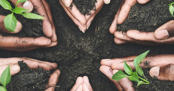 Ecosister: al via i bandi per lanciare 11 sfide per trasformare il territorio