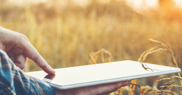 Al via la selezione per partecipare alla Summer School “Open Innovation Management for a Sustainable Transition”