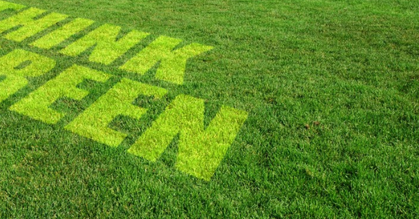 Green Jobs: le competenze e i lavori del futuro. Due webinar dedicati a competenze e lavori del futuro